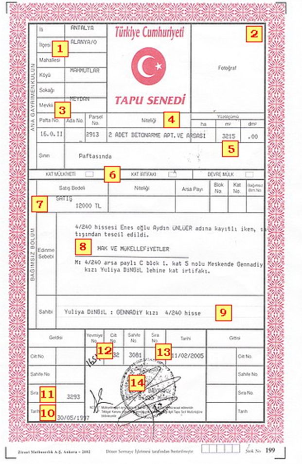 tapu